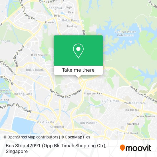Bus Stop 42091 (Opp Bk Timah Shopping Ctr) map