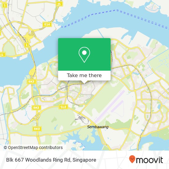 Blk 667 Woodlands Ring Rd map