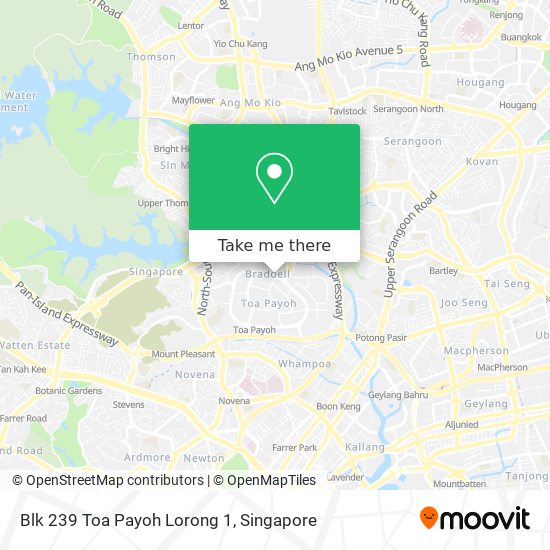 Blk 239 Toa Payoh Lorong 1地图