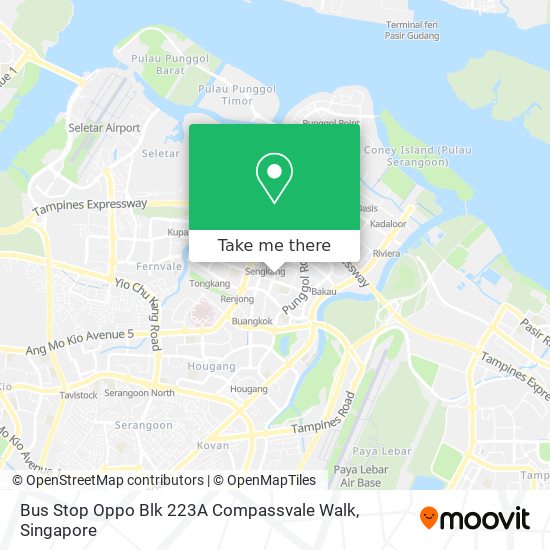 Bus Stop Oppo Blk 223A Compassvale Walk map