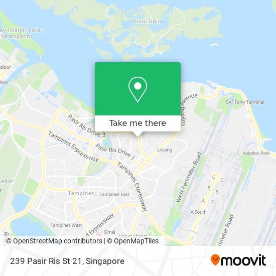 239 Pasir Ris St 21 map