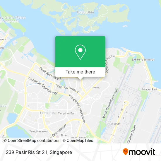 239 Pasir Ris St 21地图