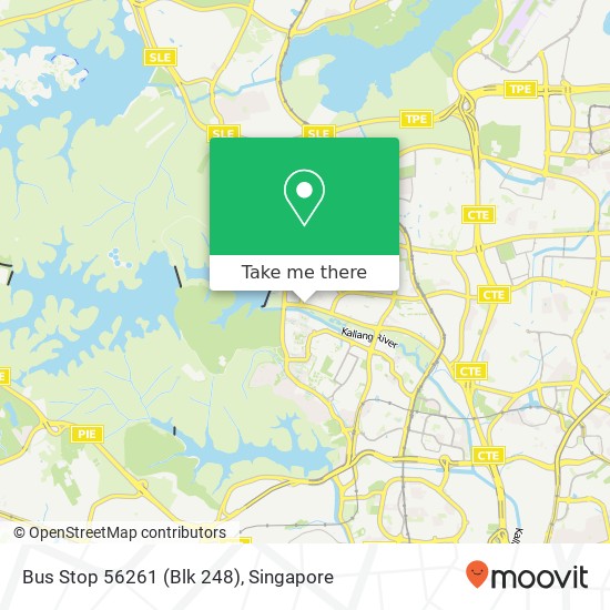 Bus Stop 56261 (Blk 248) map
