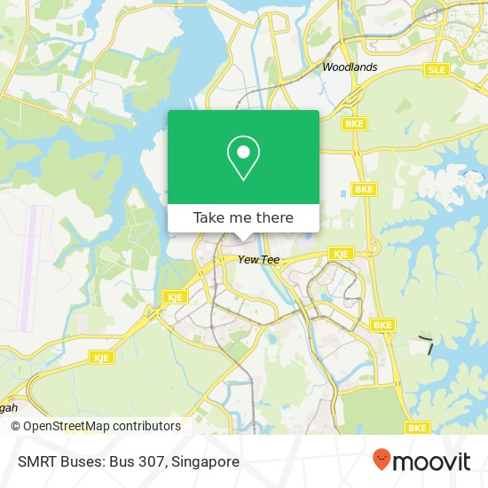 SMRT Buses: Bus 307 map