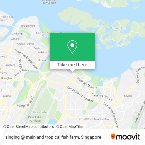 singing @ mainland tropical fish farm map
