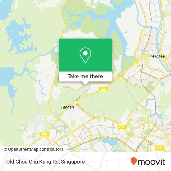 Old Choa Chu Kang Rd地图