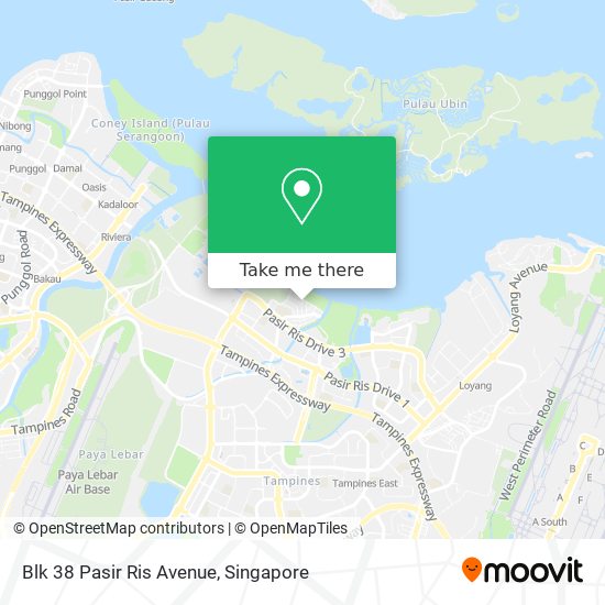 Blk 38 Pasir Ris Avenue map