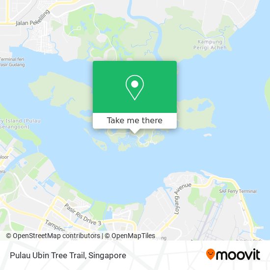 Pulau Ubin Tree Trail map