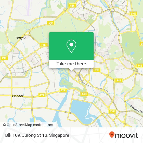 Blk 109, Jurong St 13 map