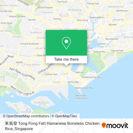 東風發 Tong Fong Fatt Hainanese Boneless Chicken Rice地图