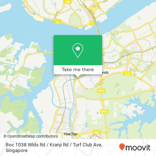 Boc 1038 Wlds Rd / Kranji Rd / Turf Club Ave地图