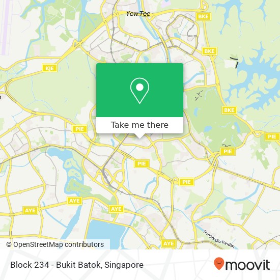 Block 234 - Bukit Batok地图