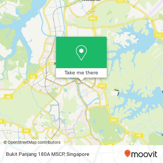 Bukit Panjang 180A MSCP地图