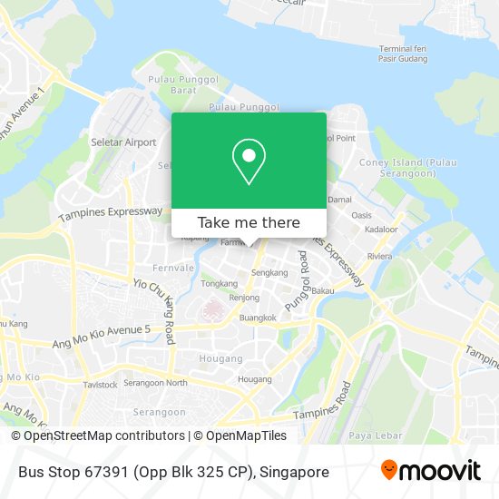 Bus Stop 67391 (Opp Blk 325 CP) map