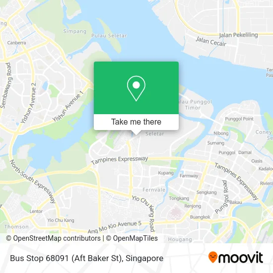 Bus Stop 68091 (Aft Baker St)地图