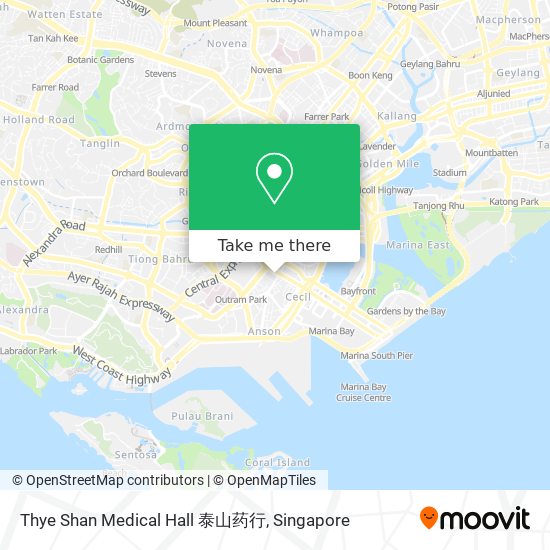 Thye Shan Medical Hall 泰山药行地图