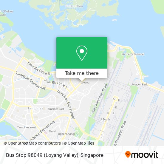 Bus Stop 98049 (Loyang Valley)地图