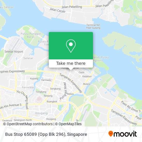 Bus Stop 65089 (Opp Blk 296) map