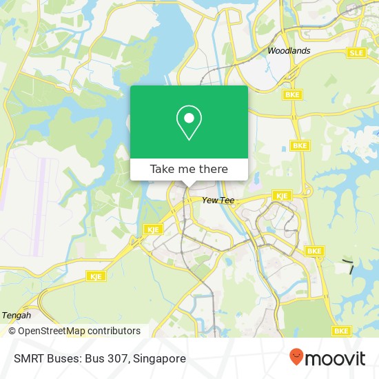 SMRT Buses: Bus 307 map
