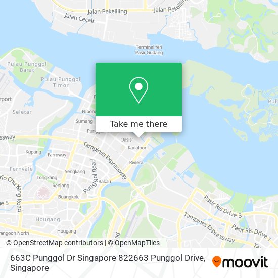 663C Punggol Dr Singapore 822663 Punggol Drive地图