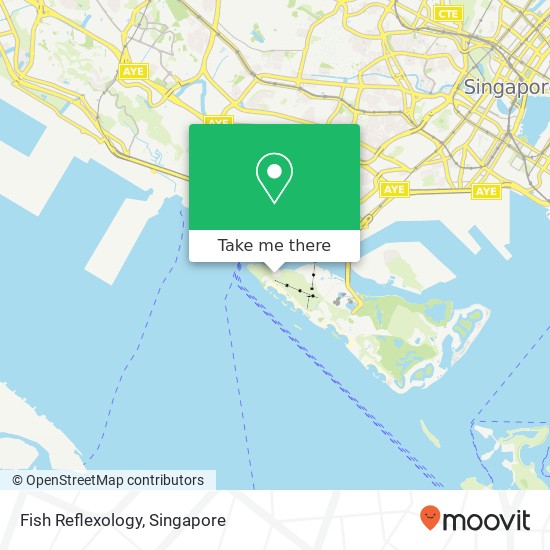 Fish Reflexology map