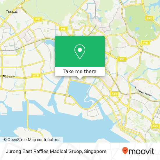 Jurong East Raffles Madical Gruop map