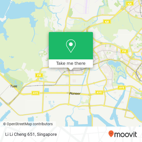 Li Li Cheng 651地图