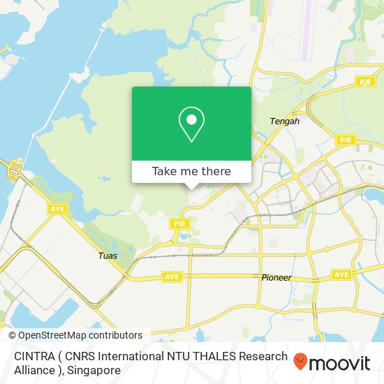 CINTRA ( CNRS International NTU THALES Research Alliance ) map