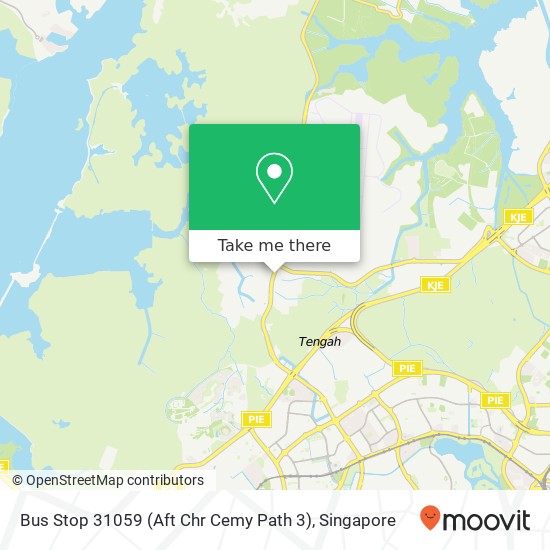 Bus Stop 31059 (Aft Chr Cemy Path 3) map