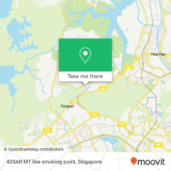 40SAR MT line smoking point地图