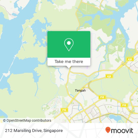 212 Marsiling Drive map