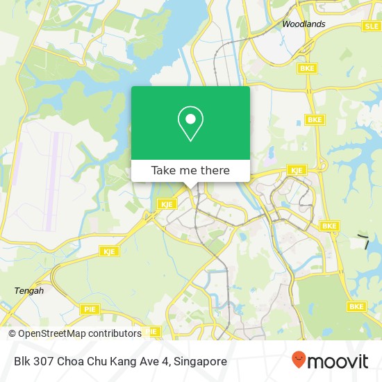 Blk 307 Choa Chu Kang Ave 4 map