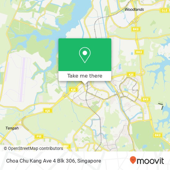 Choa Chu Kang Ave 4 Blk 306 map