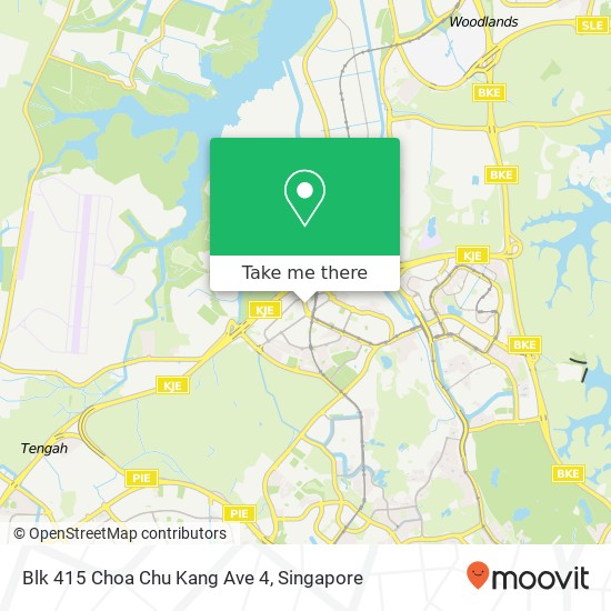 Blk 415 Choa Chu Kang Ave 4地图