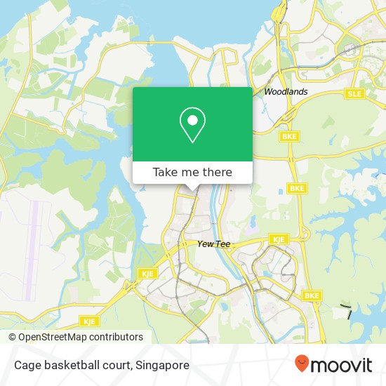 Cage basketball court map