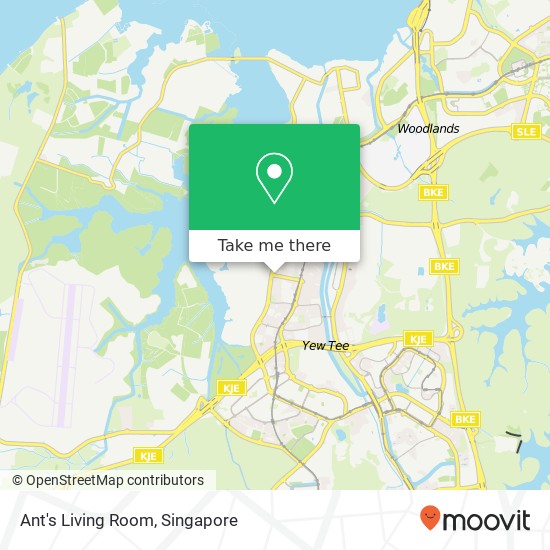 Ant's Living Room地图