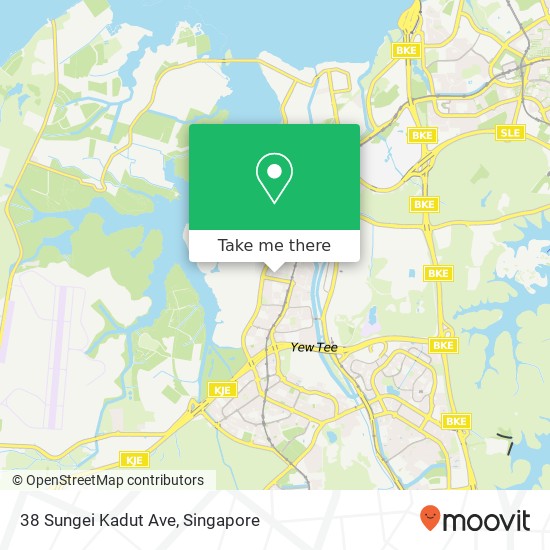 38 Sungei Kadut Ave地图