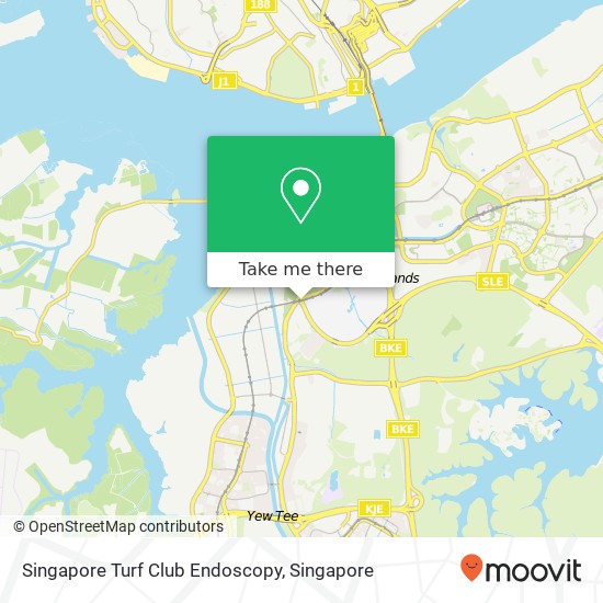 Singapore Turf Club Endoscopy地图