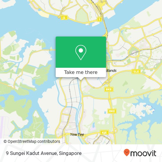 9 Sungei Kadut Avenue map