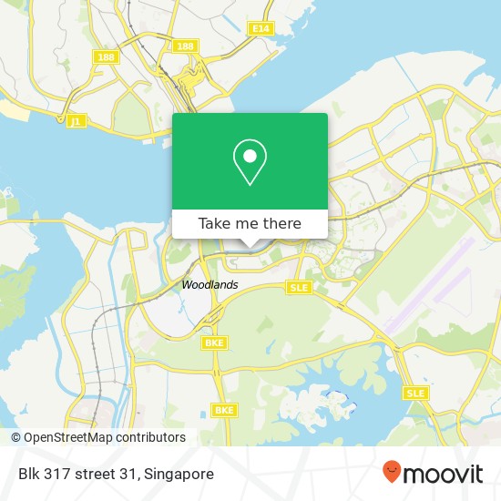 Blk 317 street 31 map