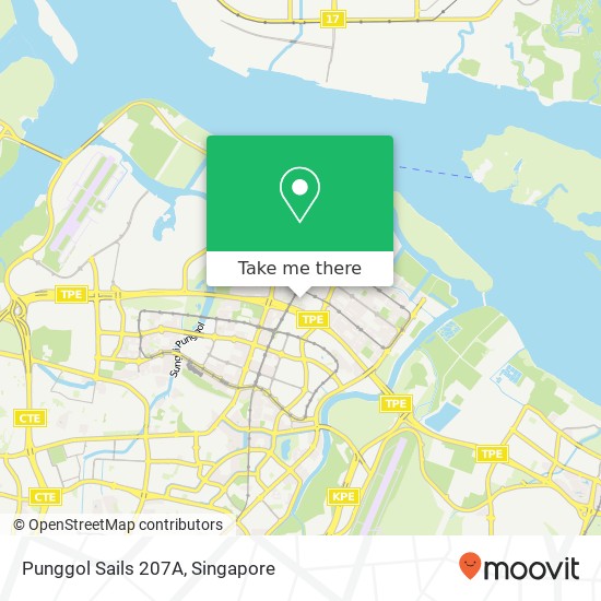 Punggol Sails 207A地图