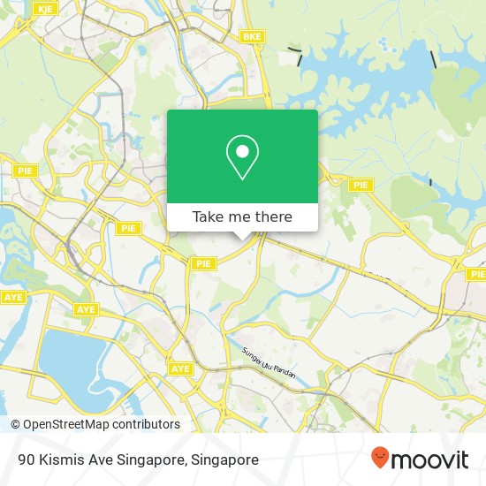 90 Kismis Ave Singapore地图