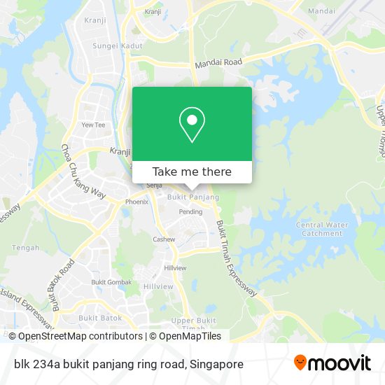 blk 234a bukit panjang ring road地图