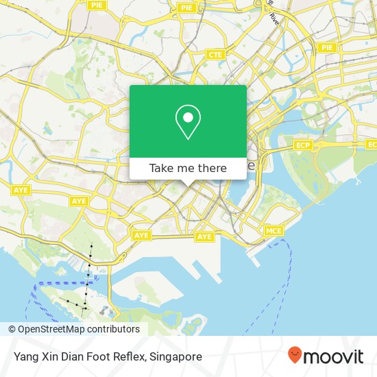Yang Xin Dian Foot Reflex map