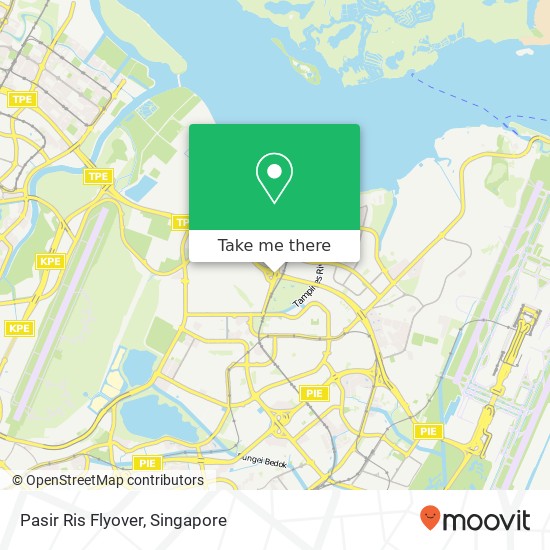 Pasir Ris Flyover map