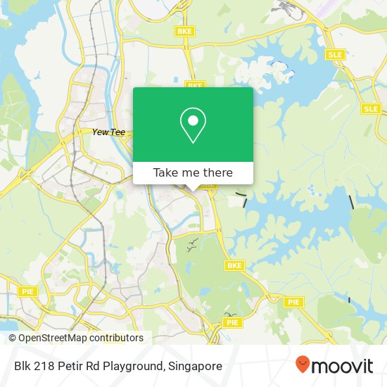 Blk 218 Petir Rd Playground地图