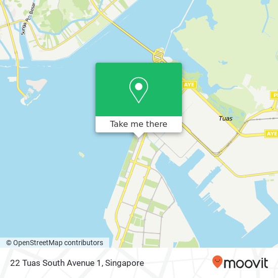 22 Tuas South Avenue 1 map