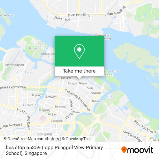 bus stop 65359 ( opp Punggol View Primary School)地图