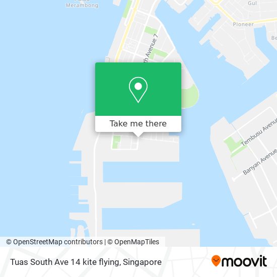 Tuas South Ave 14 kite flying地图