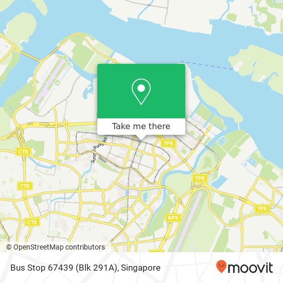 Bus Stop 67439 (Blk 291A) map